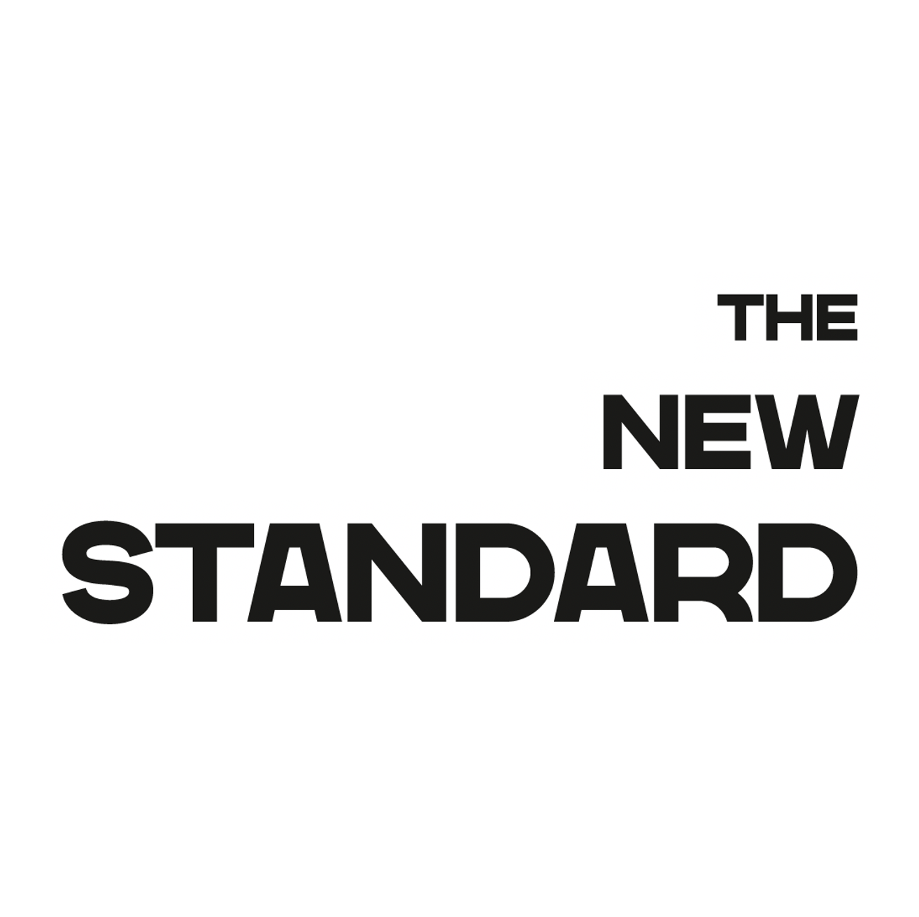 Logo The New Standard